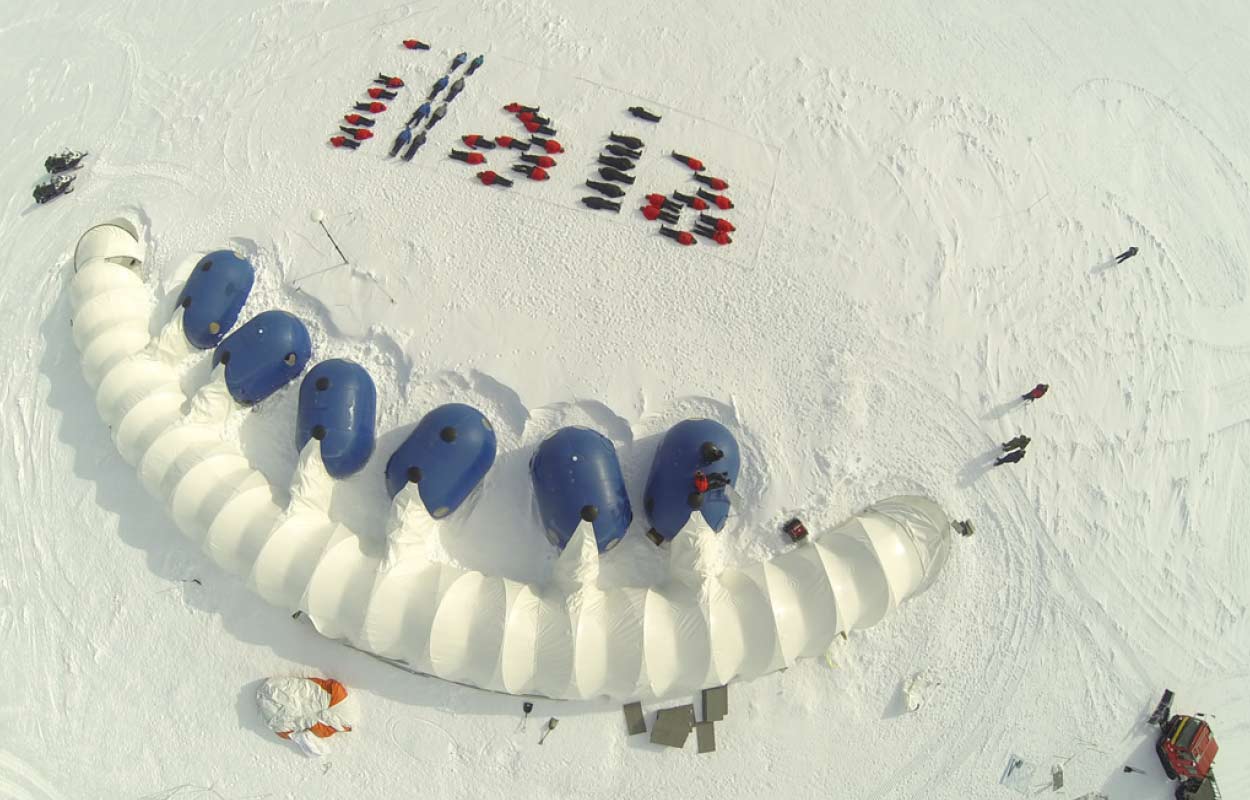 bungy dome pol taylor 2